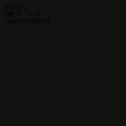 #101310 - Hunter Green Color Image